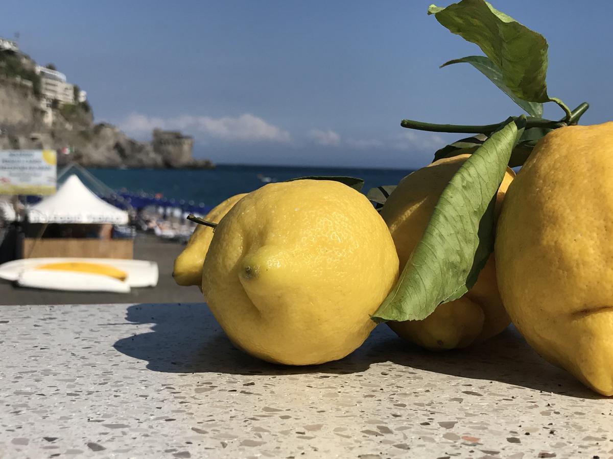 莫布莱卡萨曼尼尼住宿加早餐旅馆 马奥莱 外观 照片